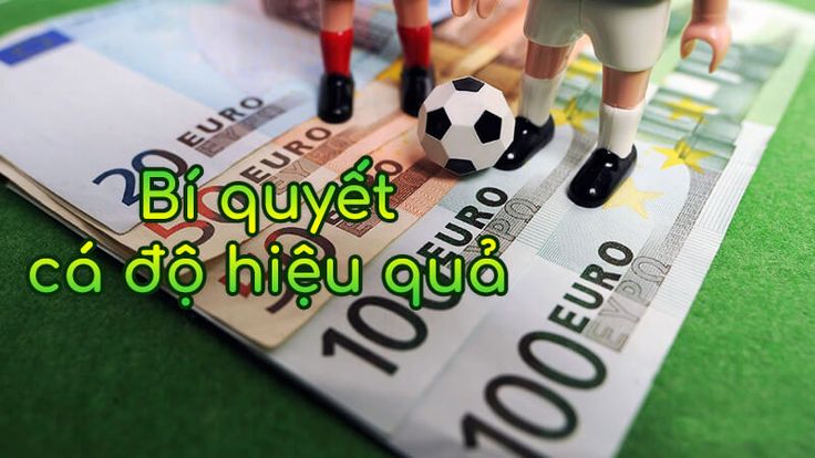 4 Mẹo Cá Cược Bóng Đá Tại BONG88 Không Nên Bỏ Qua 3 Lưu ý khi áp dụng Mẹo Cá Cược Bóng Đá